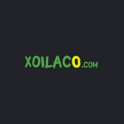 xoilactv0com's Profile Picture